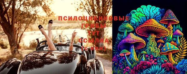 бошки Арсеньев